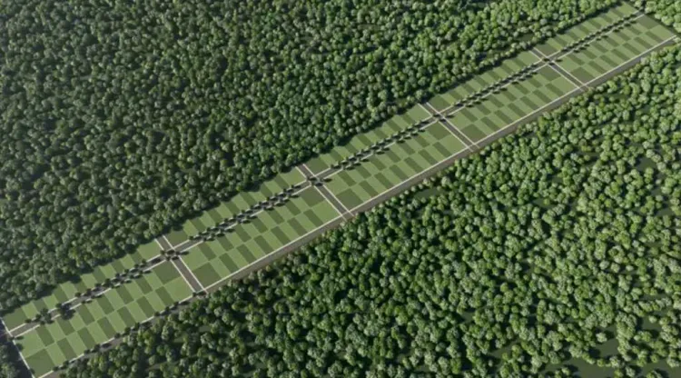 Tierra Verde - Segunda Etapa - Imagen 5