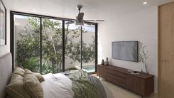 Edera - Miniatura 18