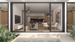 Edera - Miniatura 13