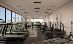 Dianela - Miniatura 5