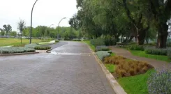 Tierra Verde - Segunda Etapa - Miniatura 3