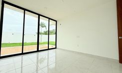 Camelia 121 - Miniatura 16