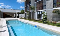 Nütuuk - Miniatura 4