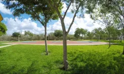 Soana 2 - Miniatura 9