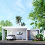 Morera - Miniatura 10