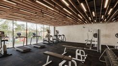  Pasmiera - Miniatura 5