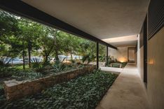 Laja - Kaua - Miniatura 16