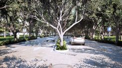 Hacienda Kapok - Miniatura 4