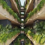 Tierra Blanca - Miniatura 5