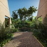 Tierra Blanca - Miniatura 13