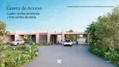 Xo'ok - Miniatura 4