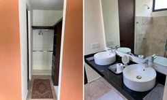 Nibana - Miniatura 10