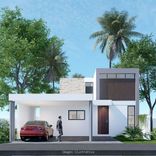 Morera - Miniatura 6