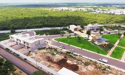 Lunare - Miniatura 11