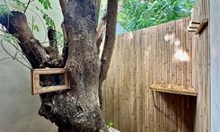 Seremos - Departamentos - Miniatura 50